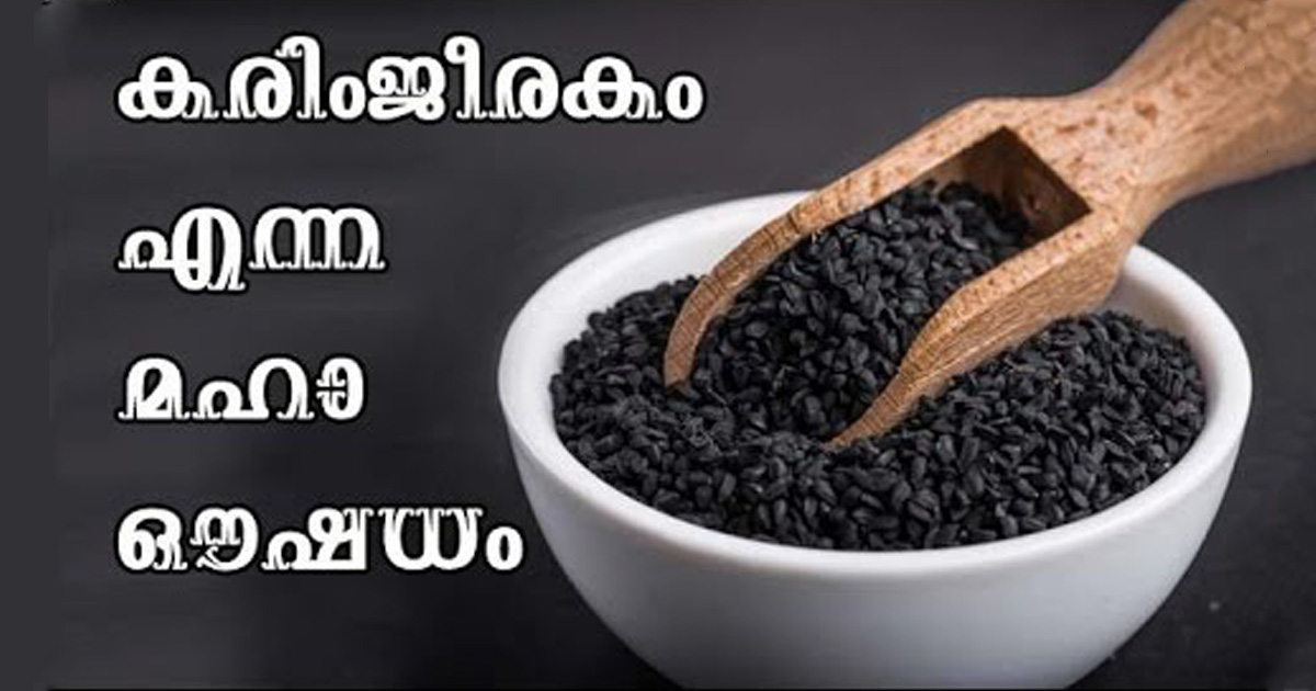 കരിഞ്ചീരകത്തിന്റെ ഗുണങ്ങൾ..!! ഇത് ഈ രീതിയിൽ കഴിച്ചാൽ നിരവധി അത്ഭുത ഗുണങ്ങൾ…| Benefits Of Black Cumin Malayalam