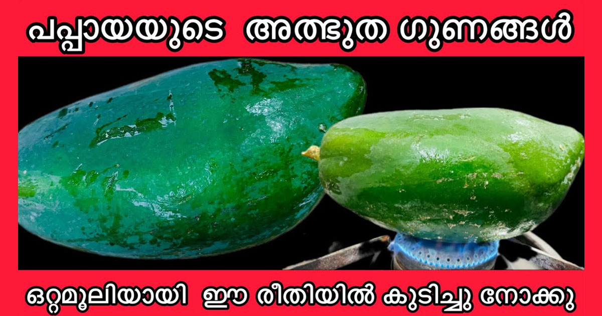 പപ്പായയുടെ അത്ഭുത ഗുണങ്ങൾ അറിയേണ്ടത്… ഇനി ഇത് അറിയാതെ പോകല്ലേ… യൂറിക് ആസിഡിനും ഇത് ഗുണം ചെയ്യും…| Papaya Health Benefits