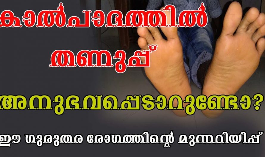 കാൽപാദത്തിൽ മരവിപ്പ് അനുഭവപ്പെടാറുണ്ടോ? കണ്ടു നോക്കൂ.