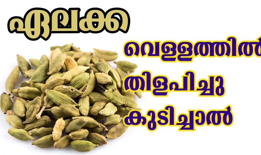 വായയിലെ ദുർഗന്ധം മുടിയിടയിൽ മാറ്റാൻ ഇത് ഒരെണ്ണം മതി.