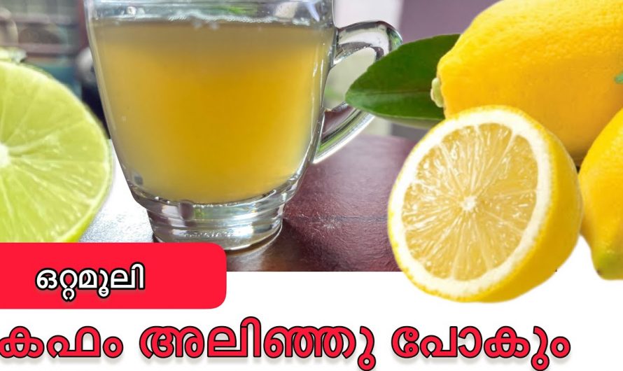 വിട്ടുമാറാത്ത ചുമ ജലദോഷം കഫക്കെട്ട് മാറാൻ ഇതിലും വലിയൊരു മാർഗ്ഗമില്ല. കണ്ടു നോക്കൂ.