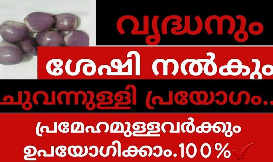 വലിപ്പത്തിൽ ചെറുതാണെങ്കിലും ഇതിന്റെ ഗുണങ്ങൾ വളരെ വലുതാണ്.ഇത്രയും കാലം ഇതിന്റെ ഗുണങ്ങൾ അറിയാതെ പോയല്ലോ. കണ്ടു നോക്കൂ.