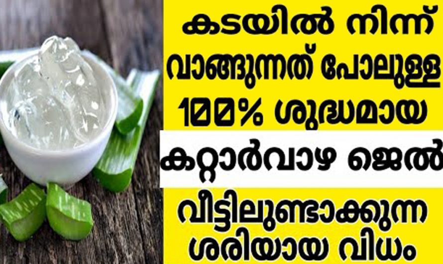 ഇനി കറ്റാർവാഴ ജെല്ലിന് വേണ്ടി കടകൾ കയറി ഇറങ്ങേണ്ട. ഇത് വീടുകളിൽ തന്നെ ഉണ്ടാക്കാം. കണ്ടു നോക്കൂ.