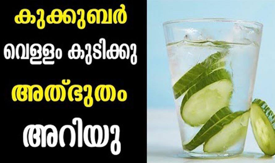 ഇതിനെ ഇത്രയും ഗുണങ്ങൾ ഉണ്ടായിരുന്നോ? ഇതിന്റെ ഗുണഗണങ്ങൾ തിരിച്ചറിയാതെ പോകരുതേ.