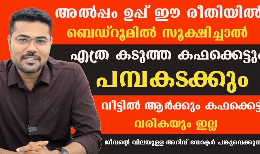 കഫകെട്ട് നിങ്ങളിലെ  ഒരു പ്രശ്നമാണോ ? ഇതേക്കുറിച്ച് ആരും കാണാതെ പോകരുതേ.