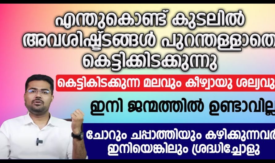 ശരീരത്തിൽ അനുഭവപ്പെടുന്ന വേദനകളുടെ എല്ലാം തുടക്കം എവിടെ നിന്നാണ്  എന്ന് നിങ്ങൾക്കറിയാമോ? ഇതൊന്നു കണ്ടു നോക്കൂ.