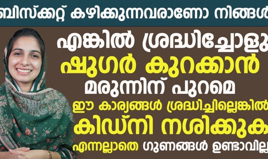 ശരീരത്തിലെ ഷുഗറിന്റെ അളവ് നിയന്ത്രിക്കാൻ ഇത്തരം കാര്യങ്ങൾ ശ്രദ്ധ പുലർത്തേണ്ടത് അനിവാര്യമാണ്. കണ്ടു നോക്കൂ.