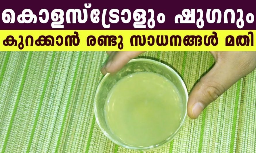 ജീവിതശൈലി രോഗം നിങ്ങളുടെ താളം തെറ്റിക്കുന്നുണ്ടോ? ഇനി വിഷമിക്കേണ്ട ഇത് മാത്രം ചെയ്താൽ മതി…| To reduce cholesterol and sugar