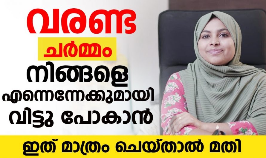 വരണ്ട ചർമം നിങ്ങളിൽ  അസ്വസ്ഥത ഉണ്ടാക്കാറുണ്ടോ? ഇതിന്റെ കാരണങ്ങൾ ആരും തിരിച്ചറിയാതിരിക്കരുതേ…| Dry skin will leave