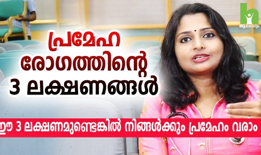 ഷുഗർ കൺട്രോൾ ചെയ്യണമെങ്കിൽ ഇത്തരം കാര്യങ്ങൾ ശ്രദ്ധിച്ചേ  മതിയാവൂ. ഇത്തരം കാര്യങ്ങൾ ആരും  നിസ്സാരമായി കാണരുതേ…| Diabetes control malayalam