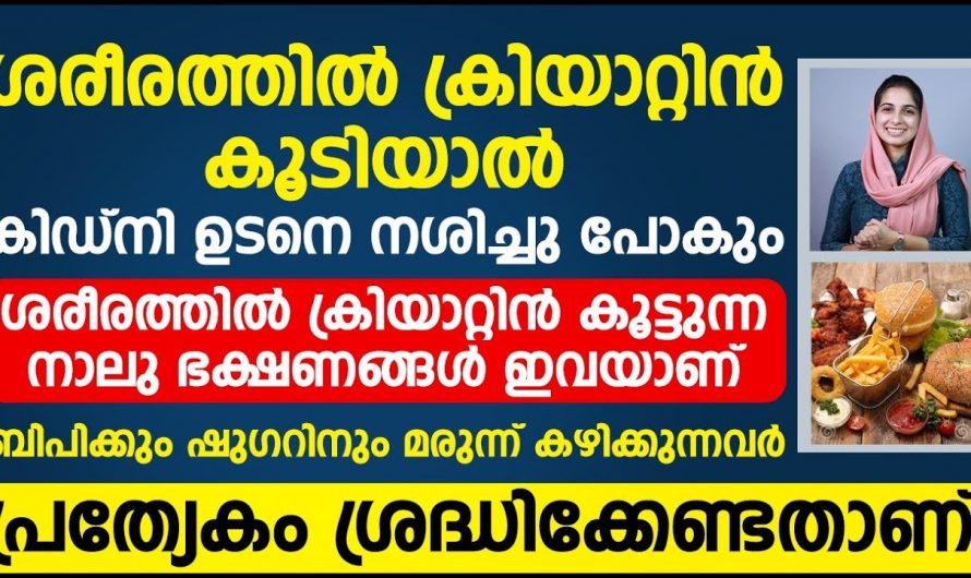 നിങ്ങളിൽ ക്രിയാറ്റിന്റെ അളവ് കൂടുതലായി കാണപ്പെടാറുണ്ടോ? ഇത്തരം കാര്യങ്ങൾ ആരും തിരിച്ചറിയാതെ പോകരുതേ…| Creatine side effects