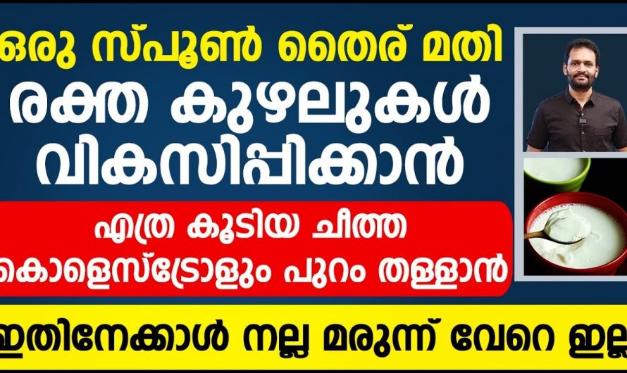 കൊളസ്ട്രോളിനെ മറികടക്കാൻ ദിവസവും ഇത് ഉപയോഗിക്കൂ. ഇതിന്റെ ഗുണങ്ങൾ ആരും അറിയാതെ പോകരുതേ.