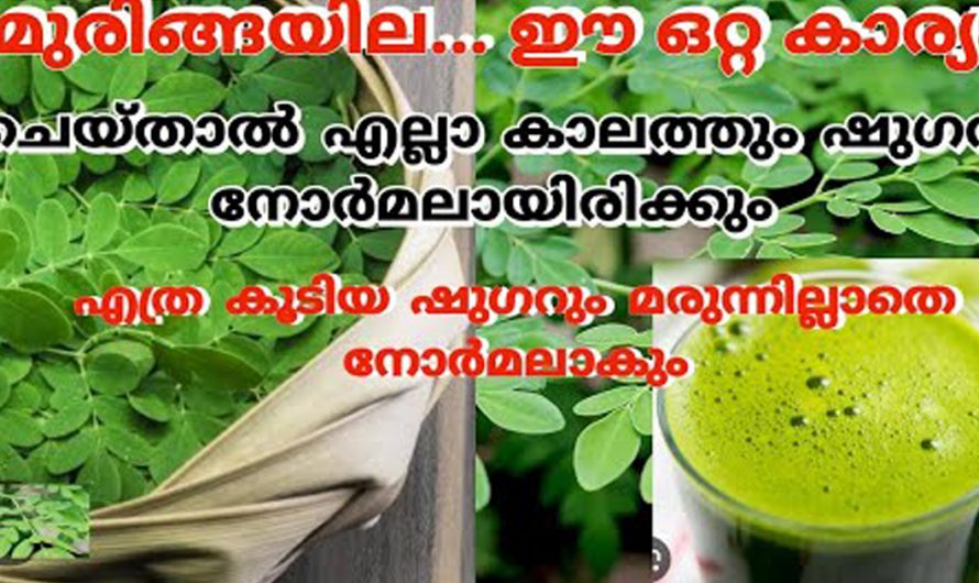 ദഹന വ്യവസ്ഥയെ  പരിപോഷിക്കാൻ  ഈ ഒരു ഇല മാത്രം മതി. ഇതിന്റെ ഔഷധ ഗുണങ്ങളെക്കുറിച്ച് അറിയാതെ പോകല്ലേ?