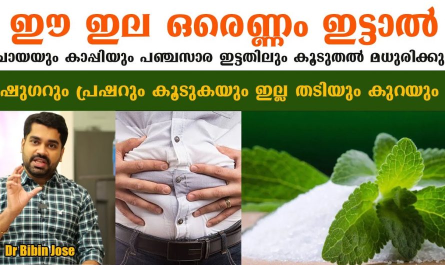 പഞ്ചസാരയ്ക്ക് പകരം ഇനി ഈ ഇല മാത്രം മതി. ഇതിന്റെ ഗുണഗണങ്ങൾ ആരും അറിയാതെ പോകരുത്. കണ്ടു നോക്കൂ.