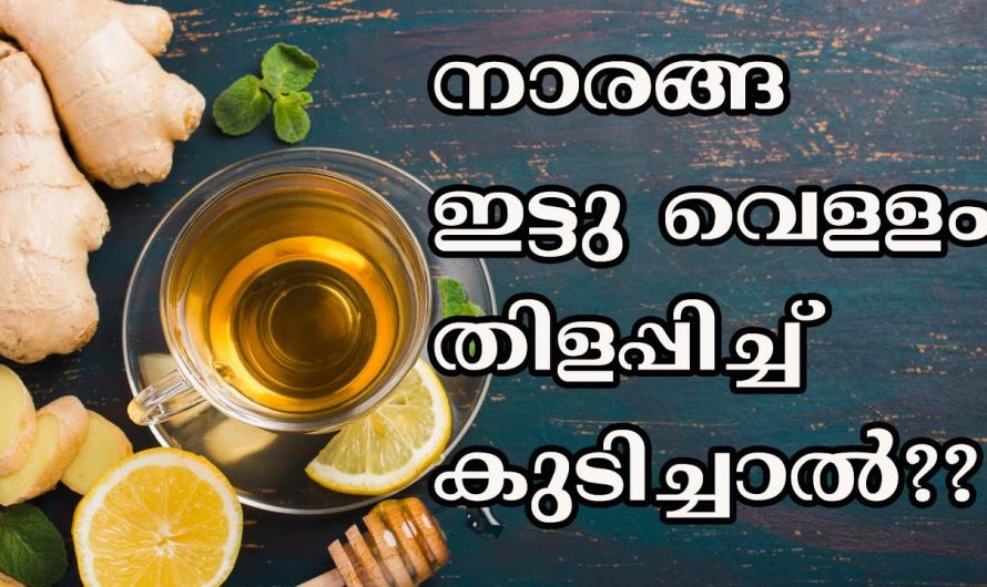 നമ്മുടെ ശരീരത്തിലെ രോഗപ്രതിരോധശേഷി വർദ്ധിപ്പിക്കുന്നതിനും അതോടൊപ്പം മറ്റു അസുഖങ്ങളെ ശമിപ്പിക്കുന്നതിനും ഇത് ഒന്നു മാത്രം മതി കണ്ടു നോക്കൂ…| Benefits Of Adding Lemon In Boiled Water