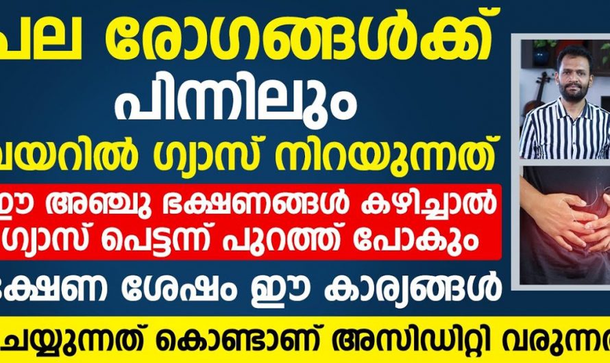 ഗ്യാസ്ട്രബിൾ അസിഡിറ്റി എന്നിവ നിങ്ങളെ ബാധിക്കുന്ന ഒരു പ്രശ്നമാണോ ? കണ്ടു നോക്കൂ.