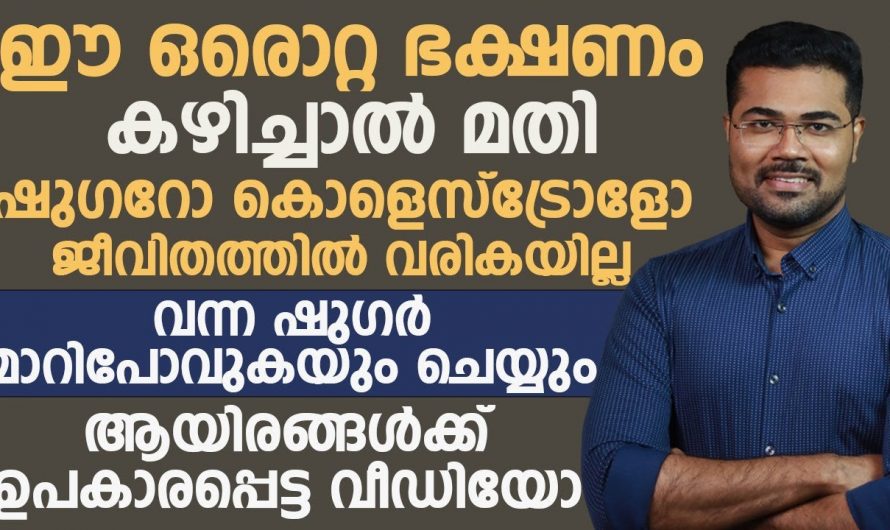 മാറുന്ന ജീവിതത്തിന്റെ മുന്നേറ്റത്തിന് ഭക്ഷണക്രമത്തിലുള്ള മാറ്റമാണ് അനുയോജ്യം. കണ്ടു നോക്കൂ.