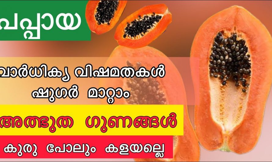 ജീവിതശൈലി രോഗങ്ങളെ മാറി കടക്കാൻ ഇത്രമാത്രം ചെയ്താൽ മതി. ഇതൊന്നു കണ്ടു നോക്കൂ .