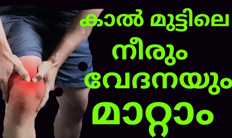 ഇനിയാരും മുട്ടുവേദനയ്ക്ക് പെയിൻ കില്ലറിന് ആശ്രയിക്കേണ്ട.ഇതാ ഒരു എളുപ്പവഴി…| Knee Pain Treatment Malayalam