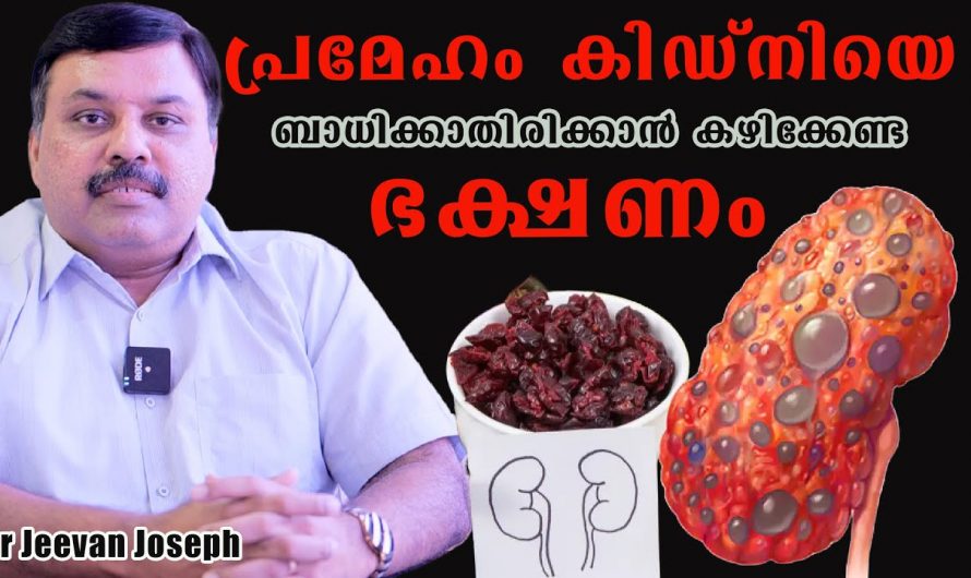 പ്രമേഹം എന്ന ഒരു രോഗാവസ്ഥയുടെ ഒരു അനന്തരഫലമാണ് കിഡ്നി ഫെയിലിയർ. ഇതിനെക്കുറിച്ച്  അറിയാൻ ഇതൊന്നു കണ്ടു നോക്കൂ…| Diabetic kidney failure stages