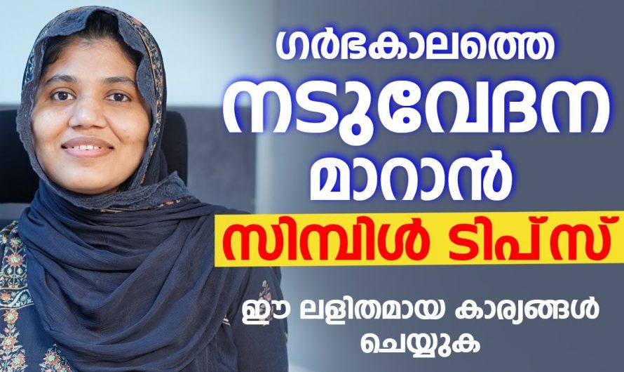 ഗർഭകാലത്ത് ഉണ്ടാകുന്ന നടുവേദനയെ അകറ്റുന്നത് ഇത്രയ്ക്ക് എളുപ്പമായിരുന്നോ? കണ്ടു നോക്കൂ.