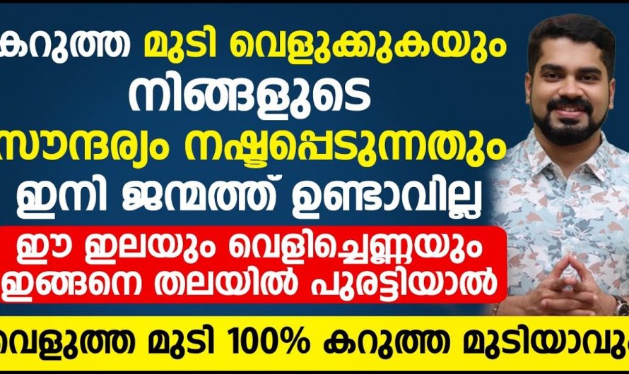 അകാലനര എന്ന പേടിസ്വപ്നത്തെ നമുക്ക് നമ്മുടെ ജീവിതത്തിൽ നിന്ന് മാറ്റാം. കണ്ടു നോക്കൂ…| Hair growth and thickening