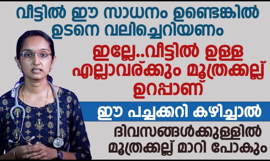 മൂത്രത്തിൽ കല്ല് നിങ്ങൾ നേരിടുന്ന ഒരു പ്രശ്നമാണോ? ഇതിന്റെ ലക്ഷണങ്ങളും പ്രതിരോധവും നേരിട്ട് അറിയാം.