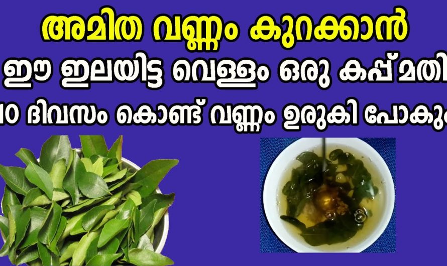 ഈയൊരു സൂപ്പ് മതി അമിതവണ്ണം അതിവേഗം മാറും.