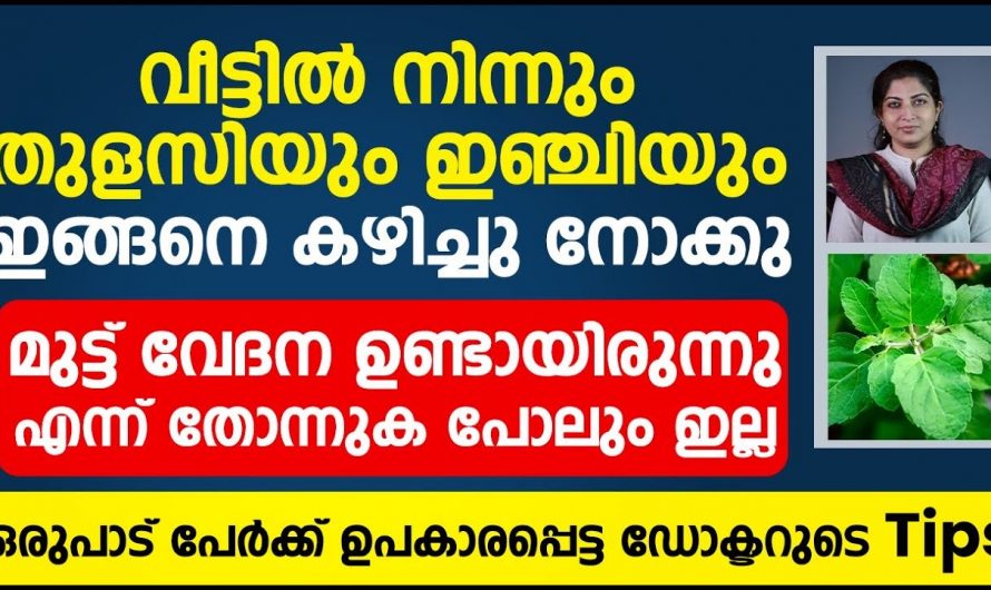 തുളസിയും ഇഞ്ചിയും കുരുമുളകും എല്ലാം ഇത്തരത്തിൽ നിത്യജീവിതത്തിൽ ഉൾപ്പെടുത്തൂ. കണ്ടു നോക്കൂ…| Mutt vedana malayalam