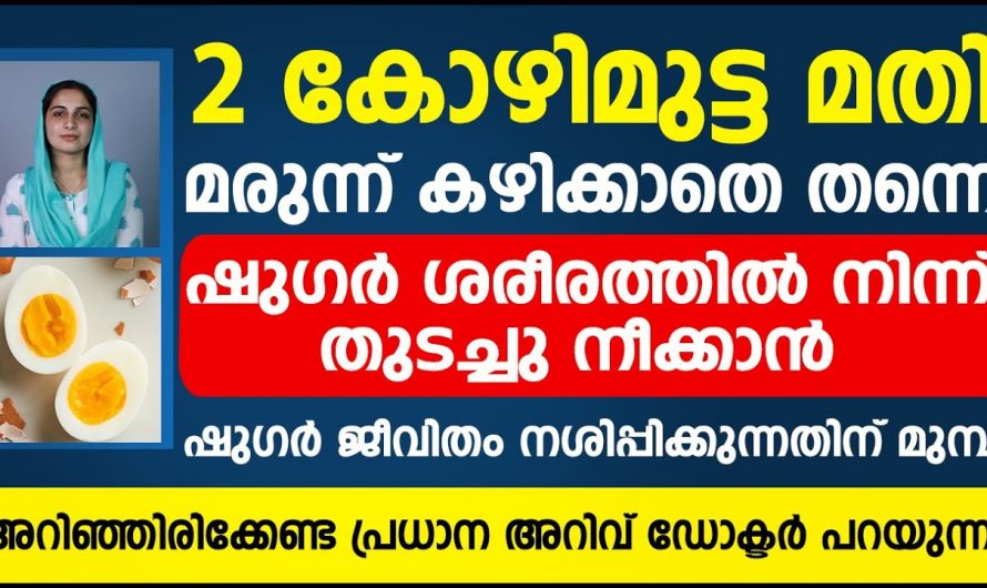 ഡയബറ്റിനെ വേരോടെ പിഴുതെറിയാനായി ഇത്തരം കാര്യങ്ങൾ ആരും കാണാതെ പോകരുതേ…| Egg diabetic control food