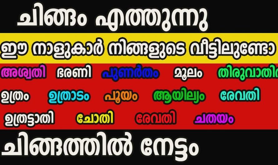 ചിങ്ങമാസ പുലരിയോടെ നേട്ടങ്ങളാൽ നിറഞ്ഞ നക്ഷത്രക്കാരെ നമുക്കറിയാം. കണ്ടു നോക്കൂ.