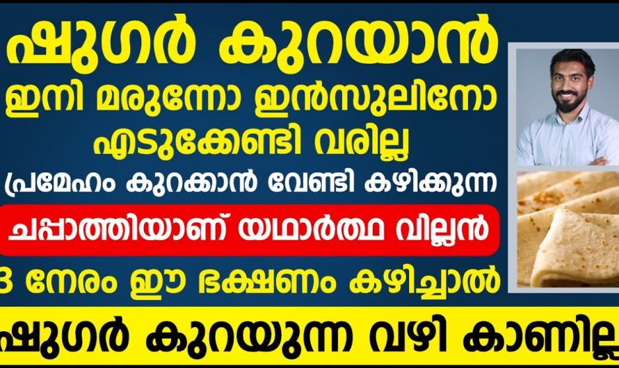 നിത്യവും കഴിക്കുന്ന ഇത്തരം ആഹാരങ്ങൾ മാത്രം മതി ഷുഗർ കൂട്ടാൻ.  ഇക്കാര്യങ്ങൾ അറിയാതെ പോകരുതേ.