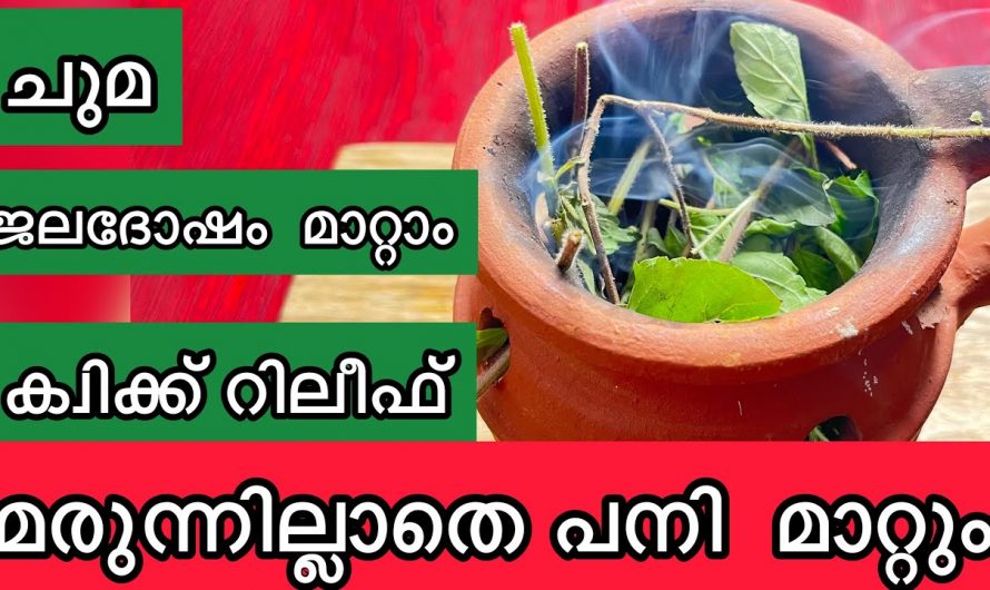 പനി ചുമ തുടങ്ങിയ ഒട്ടനവധി രോഗാവസ്ഥകൾക്ക് ഈ ഒരു ഇല മാത്രം മതി. ഇതിന്റെ ഗുണങ്ങൾ ആരും അറിയാതെ പോകരുതേ…