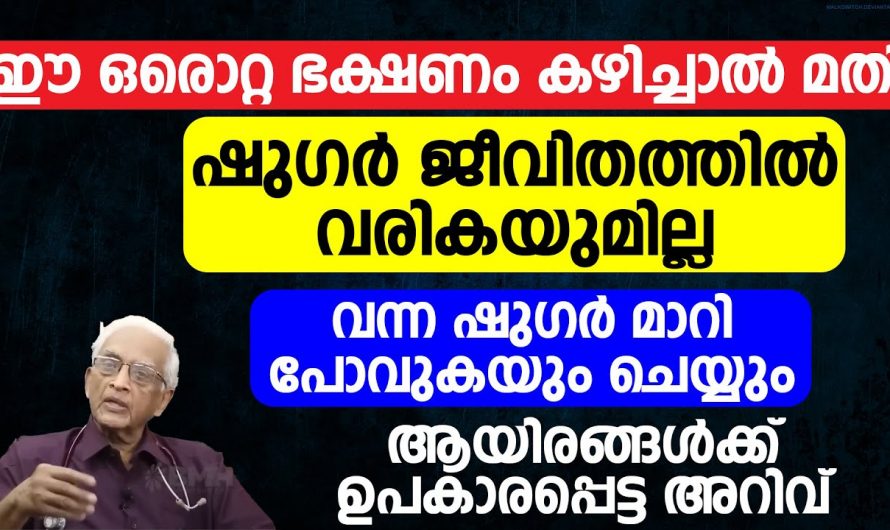 അമിതമായ ഷുഗർ മൂലം വലയുന്നവരാണോ നിങ്ങൾ? എങ്കിൽ മരുന്നുകളോടൊപ്പം ഇതും ഫോളോ ചെയ്യൂ. ഇതാരും അവഗണിക്കരുതേ…| 6 foods that prevent diabetes