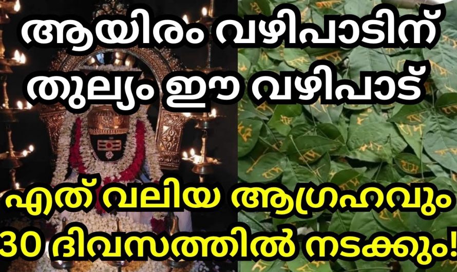 ജീവിതത്തിലെ എല്ലാ ആഗ്രഹങ്ങളും നടന്ന് കിട്ടാൻ ഇതിലും വലിയ വഴിപാട് വേറെയില്ല. ഇത് ആരും അറിയാതെ പോകരുതേ.