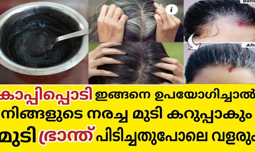 മുടിയിഴകൾ  ഇടത്തൂർന്ന് വളരുന്നതിനും നര പൂർണമായി മാറ്റുന്നതിനും ഇത് ഉപയോഗിക്കൂ. ഇതിന്റെ അതിശയിപ്പിക്കുന്ന ഗുണങ്ങൾ ആരും അറിയാതെ പോകരുതേ…| Coffee powder for hair