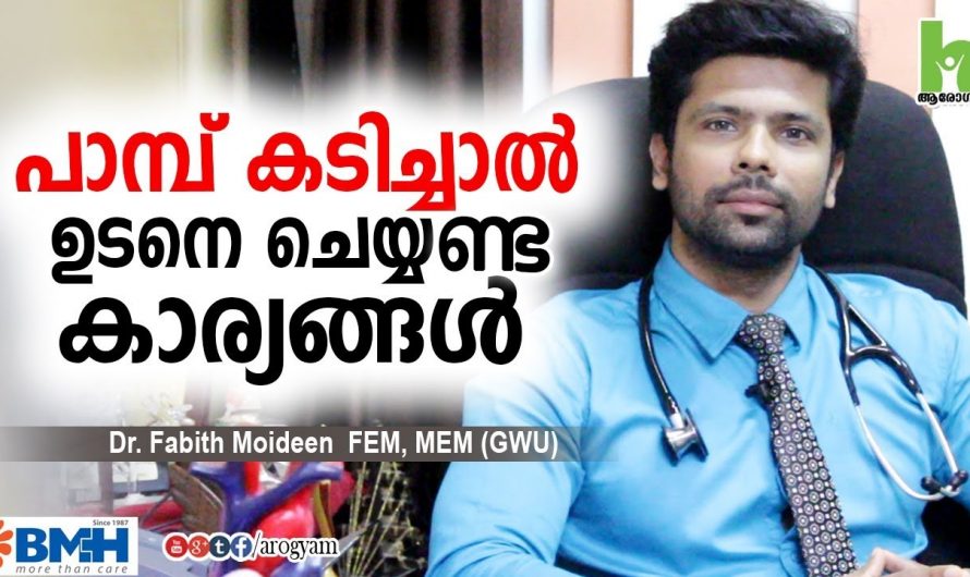 പാമ്പ് കടിയേറ്റാൽ  പെട്ടെന്ന് തന്നെ ഇത്തരം കാര്യങ്ങൾ ചെയ്യേണ്ടതാണ്. ഇത് ആരും അറിയാതെ പോകരുതേ…| First aid for snakebites