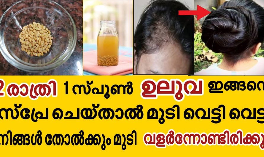 കാൽപാദം വരെ മുടി ആഗ്രഹിക്കുന്നവരാണ് നിങ്ങളെങ്കിൽ ഇത് ഉപയോഗിക്കൂ. ഇതിന്റെ ഗുണം ആരും അറിയാതെ പോകരുതേ…| Hair growth water