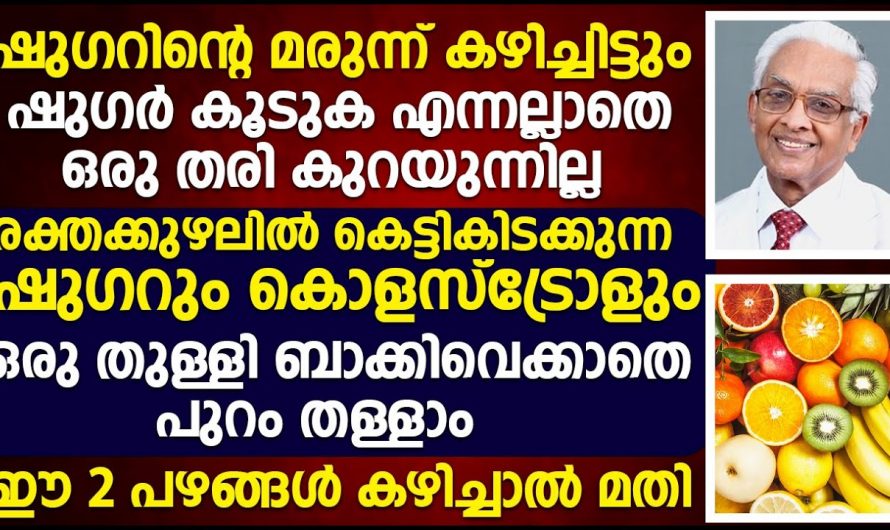 എത്ര വലിയ ഷുഗറിനെയും മറികടക്കാൻ ഇത് ശീലമാക്കൂ. ഇതുവഴി ഉണ്ടാകുന്ന നേട്ടങ്ങളെ ആരും തിരിച്ചറിയാതെ പോകരുതേ.