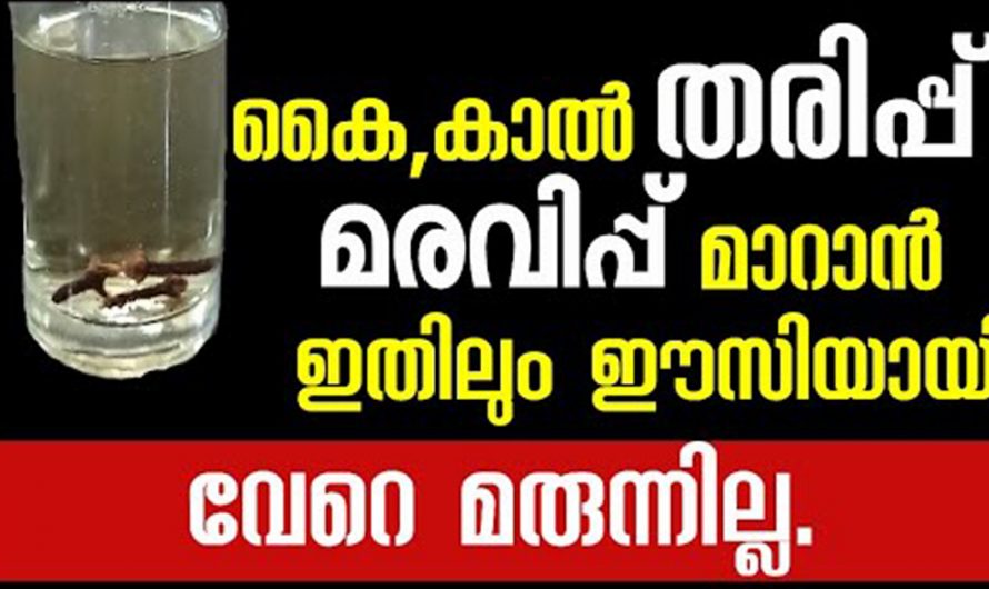 നിങ്ങളിൽ മരവിപ്പ് കൈകാൽ തരിപ്പ് എന്നിവ അനുഭവപ്പെടാറുണ്ടോ? ഇവ നീങ്ങാൻ ഇതിലും സഹായകരമായ മറ്റൊരു മരുന്നില്ല.