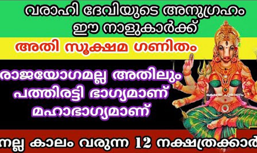 വരാഹിദേവിയുടെ അനുഗ്രഹത്താൽ ജീവിതം മാറിമറിയുന്ന ഈ നക്ഷത്രക്കാരെ കുറിച്ച് ആരും അറിയാതെ പോകരുതേ.