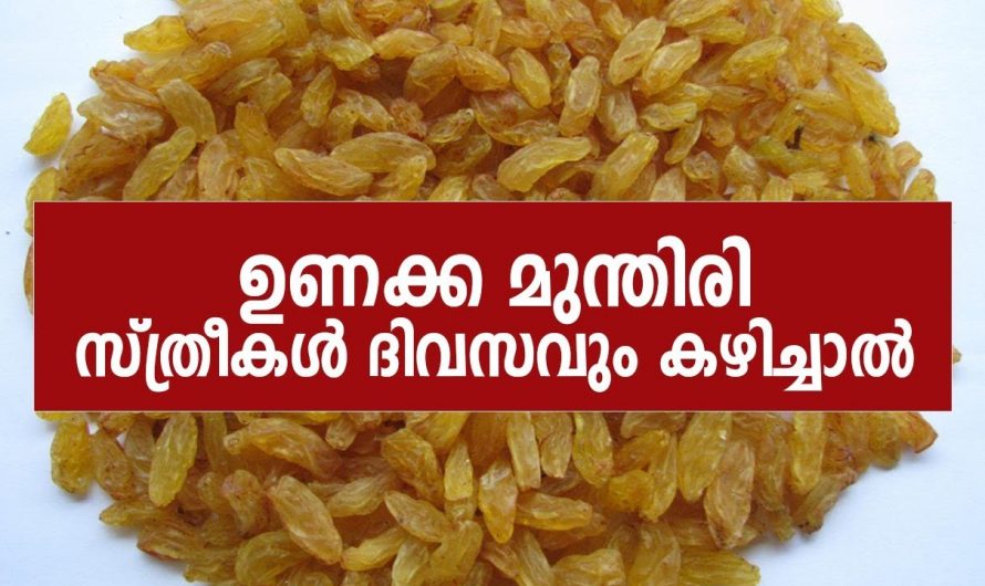 രക്തത്തിന്റെ അളവ് വർദ്ധിപ്പിക്കാൻ ദിവസവും ഇത് കഴിക്കൂ. ഇത് തരുന്ന ഗുണങ്ങളെ ആരും തിരിച്ചറിയാതെ പോകരുതേ…| Dry grapes benefits for female