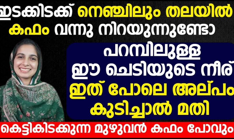 ഭക്ഷണത്തിൽ ഇത് ഉൾപ്പെടുത്തൂ പനി ചുമ കഫക്കെട്ട് ജീവിതത്തിൽ ഒരിക്കലും വരില്ല. ഇതിനെ ആരും നിസ്സാരമായി കാണരുതേ.