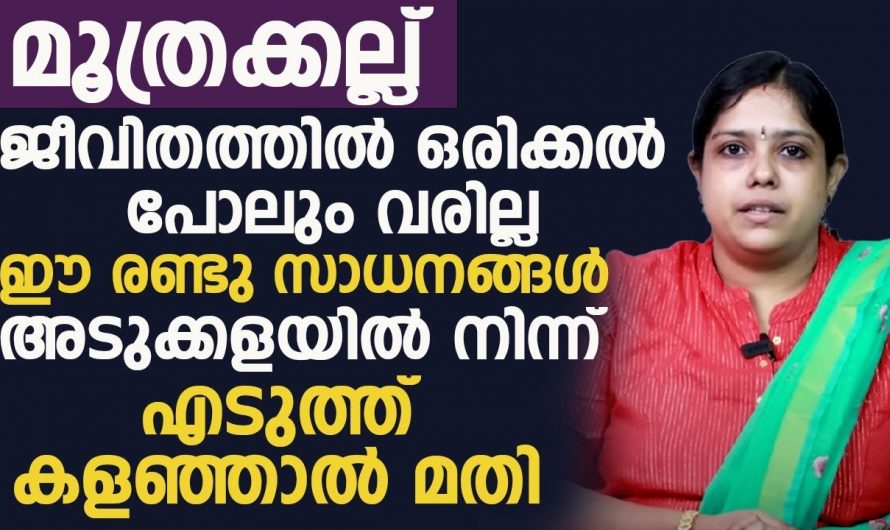 കിഡ്നിയിലെ കല്ല് നിങ്ങളിൽ വേദനാജനകമാണോ ? ഇതിനെ പെട്ടെന്ന് അലിയിച്ചു കളയാൻ ഇത്തരം കാര്യങ്ങൾ ചെയ്താൽ മതി. കണ്ടു നോക്കൂ.