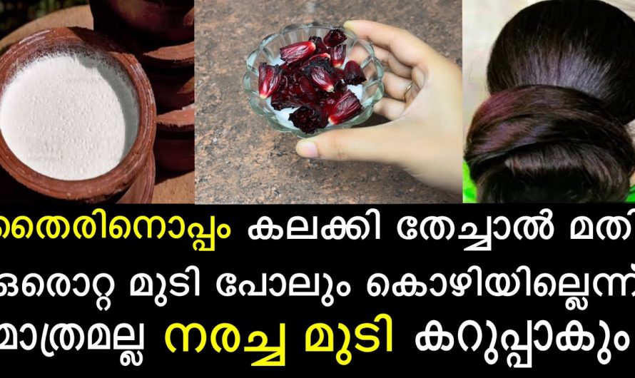 മുടികൊഴിച്ചിൽ താരൻ എന്നിവ അകറ്റാൻ ഇതാ ഒരു അത്ഭുത പൂവ്. കണ്ടു നോക്കൂ…| Hair loss and dandruff