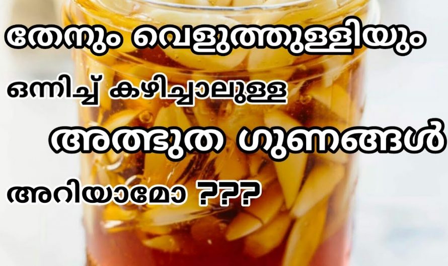 ഇത് അല്പം തേനിൽ ചേർത്ത് കഴിച്ചു നോക്കൂ. അതിശയിപ്പിക്കുന്ന ഇത്തരം ഗുണങ്ങളെ ആരും കാണാതെ പോകരുതേ…| Honey and garlic benefits