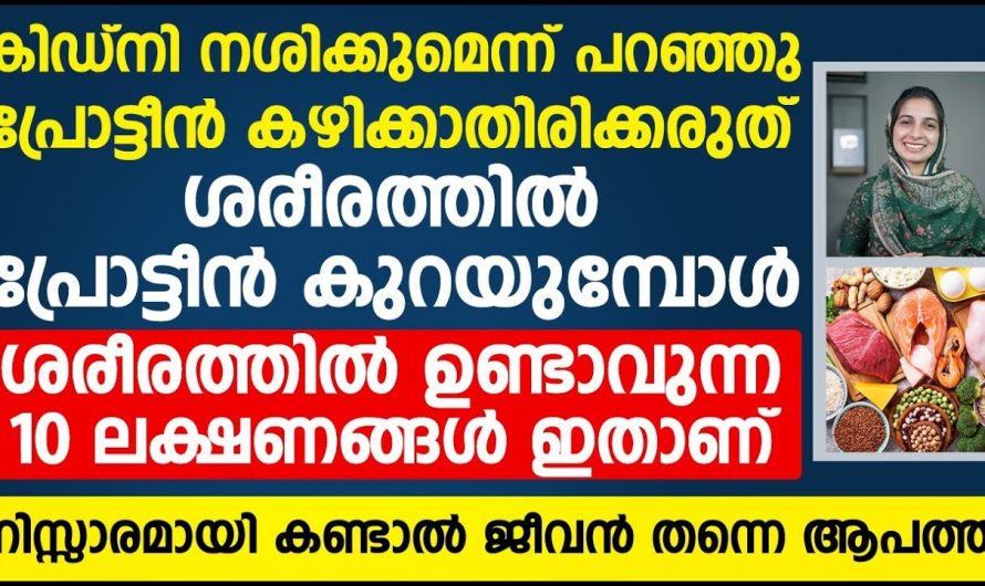 മസിലുകളുടെ വളർച്ചയ്ക്ക് മാത്രമാണോ പ്രോട്ടീനുകൾ വേണ്ടത് ? ഇത്തരം കാര്യങ്ങൾ ആരും കാണാതെ പോകരുതേ.