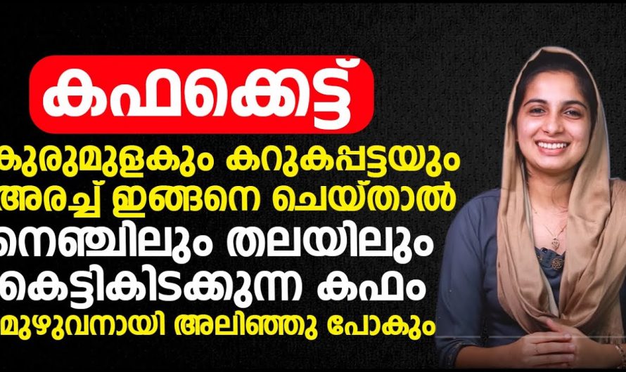 വിട്ടുമാറാത്ത പനി ചുമ കഫക്കെട്ട് എന്നിവയെ പൂർണ്ണമായി അകറ്റാനായി ഇത്തരം കാര്യങ്ങൾ ആരും അറിയാതെ പോകരുതേ.