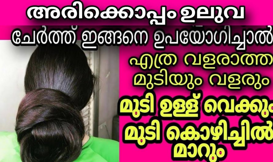 എത്ര വളരാത്ത മുടിയും പനoകൊല പോലെ വളരും. ഇത്തരം മാർഗങ്ങൾ ആരും കാണാതെ പോകരുതേ…| Fenugreek for hair benefits