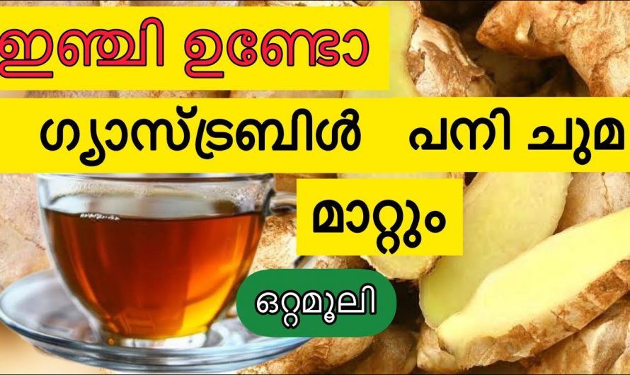 ഈ ഡ്രിങ്ക് സ്ഥിരമായി കുടിക്കൂ പനി കഫക്കെട്ട് ചുമ എന്നിവ ജീവിതത്തിൽ ഒരിക്കലും വരില്ല. കണ്ടു നോക്കൂ…| Home remedies for gastric and acidity